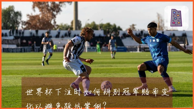 世界杯下注时如何辨别冠军赔率变化以避免踩坑案例？