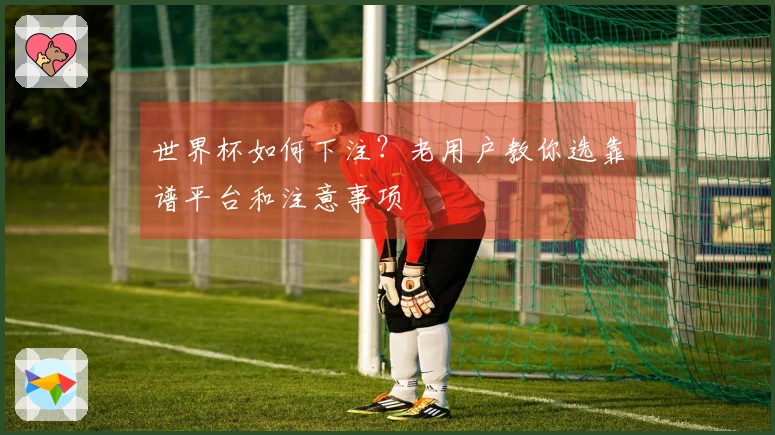 世界杯如何下注？老用户教你选靠谱平台和注意事项