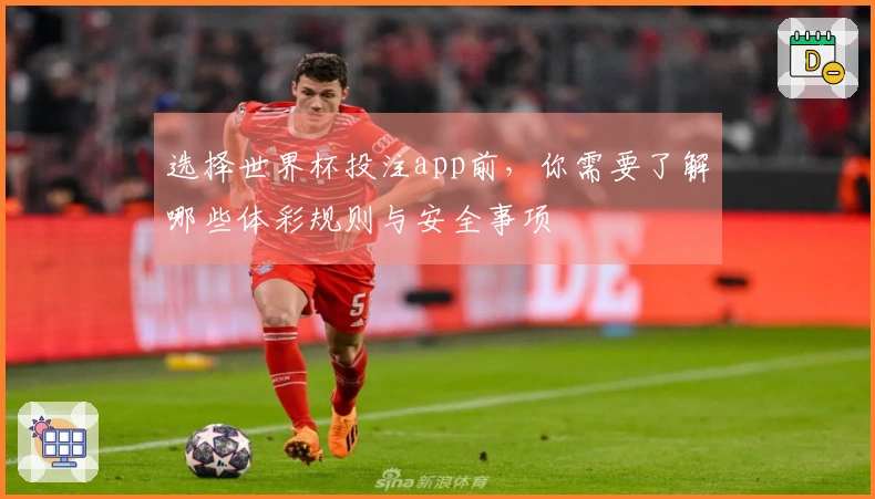 选择世界杯投注app前，你需要了解哪些体彩规则与安全事项