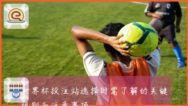 世界杯投注站选择时需了解的关键规则和注意事项