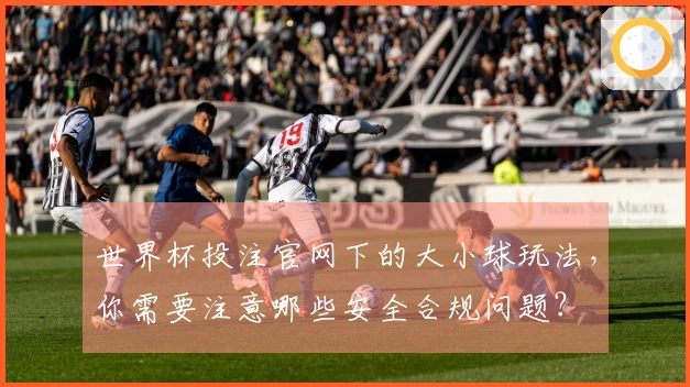 世界杯投注官网下的大小球玩法，你需要注意哪些安全合规问题？