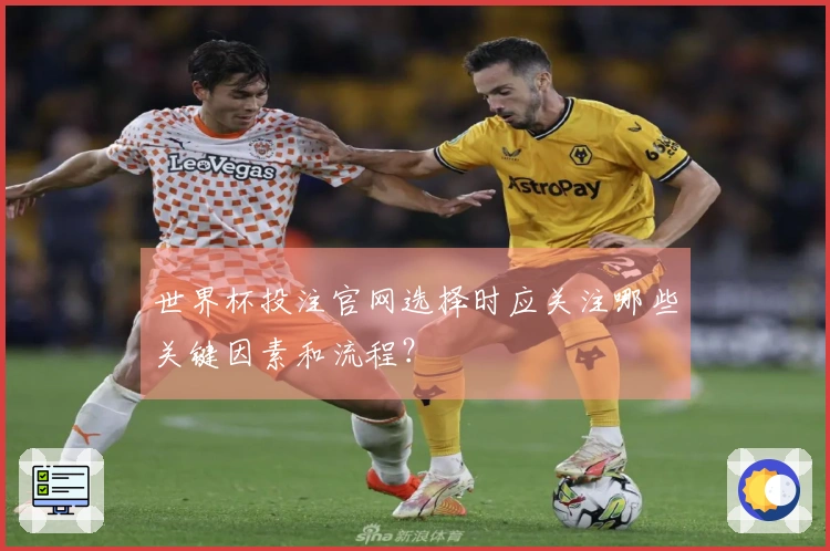 世界杯投注官网选择时应关注哪些关键因素和流程？