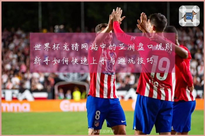 世界杯竞猜网站中的亚洲盘口规则新手如何快速上手与避坑技巧