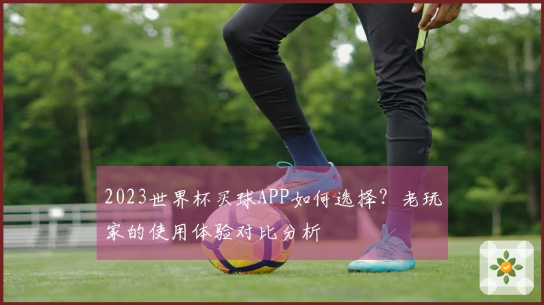 2023世界杯买球APP如何选择？老玩家的使用体验对比分析