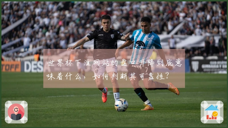 世界杯下注网站的盘口升降到底意味着什么，如何判断其可靠性？