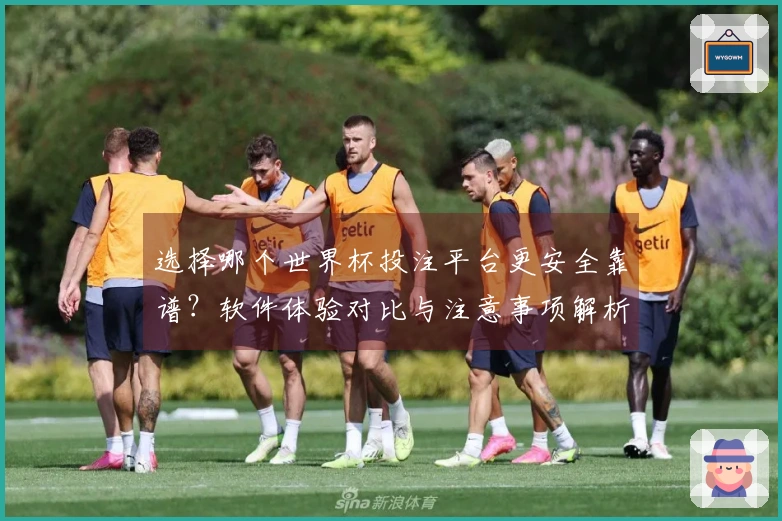 选择哪个世界杯投注平台更安全靠谱？软件体验对比与注意事项解析