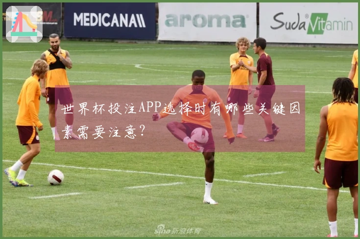 世界杯投注APP选择时有哪些关键因素需要注意？