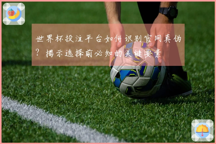 世界杯投注平台如何识别官网真伪？揭示选择前必知的关键要素