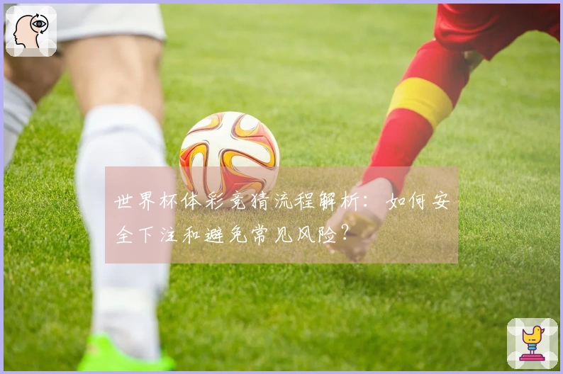 世界杯体彩竞猜流程解析：如何安全下注和避免常见风险？
