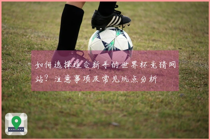 如何选择适合新手的世界杯竞猜网站？注意事项及常见坑点分析