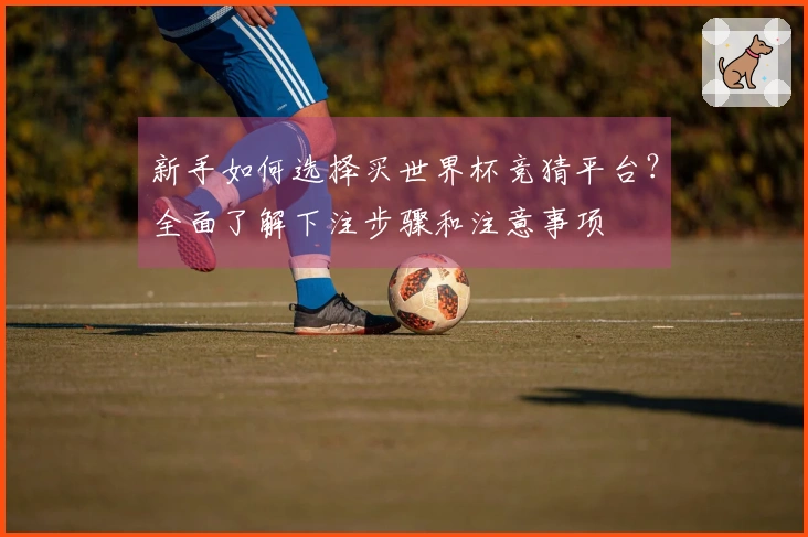 新手如何选择买世界杯竞猜平台？全面了解下注步骤和注意事项