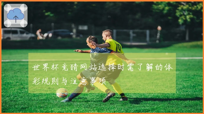 世界杯竞猜网站选择时需了解的体彩规则与注意事项