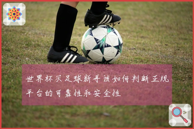 世界杯买足球新手该如何判断正规平台的可靠性和安全性
