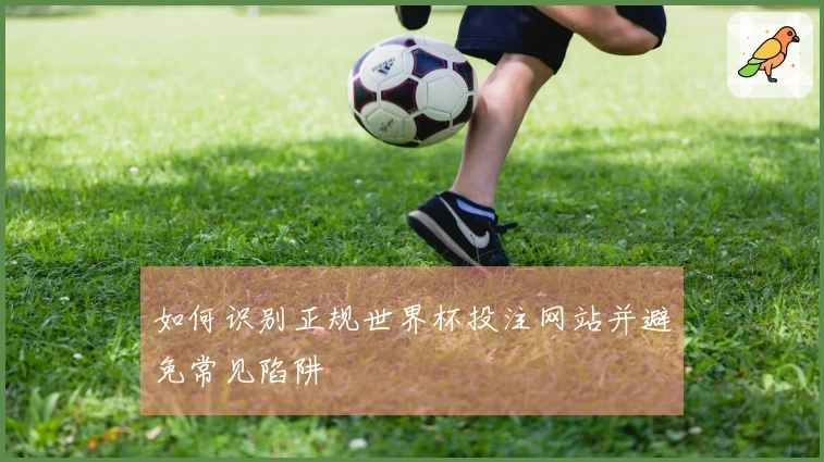 如何识别正规世界杯投注网站并避免常见陷阱