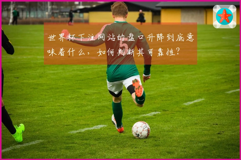 世界杯下注网站的盘口升降到底意味着什么，如何判断其可靠性？