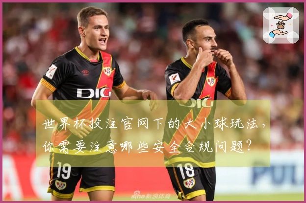 世界杯投注官网下的大小球玩法，你需要注意哪些安全合规问题？