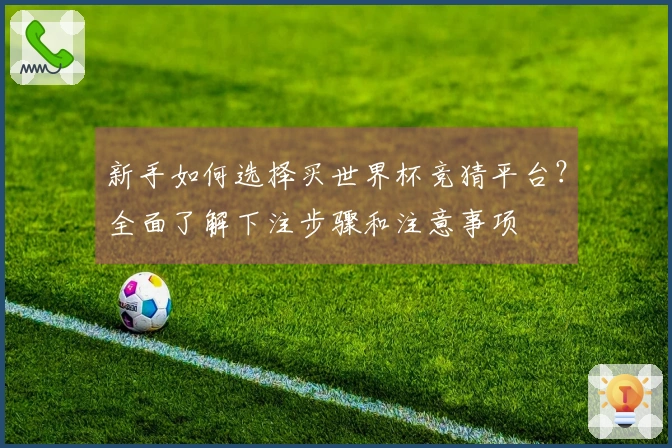 新手如何选择买世界杯竞猜平台？全面了解下注步骤和注意事项
