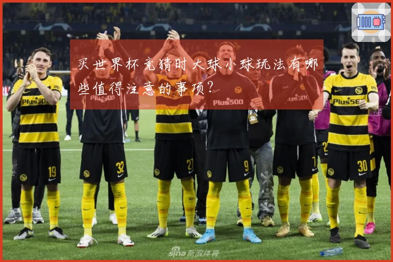 买世界杯竞猜时大球小球玩法有哪些值得注意的事项？