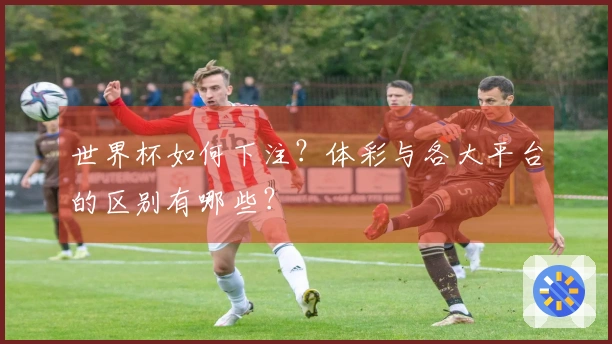 世界杯如何下注？体彩与各大平台的区别有哪些？