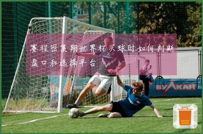 赛程密集期世界杯买球时如何判断盘口和选择平台