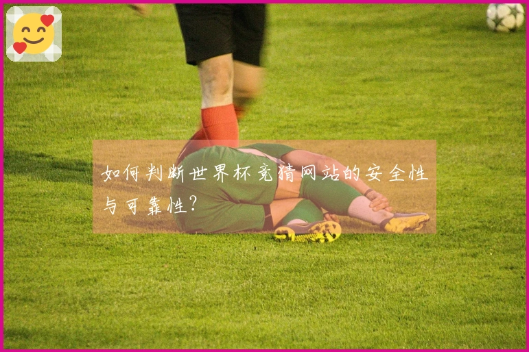 如何判断世界杯竞猜网站的安全性与可靠性？