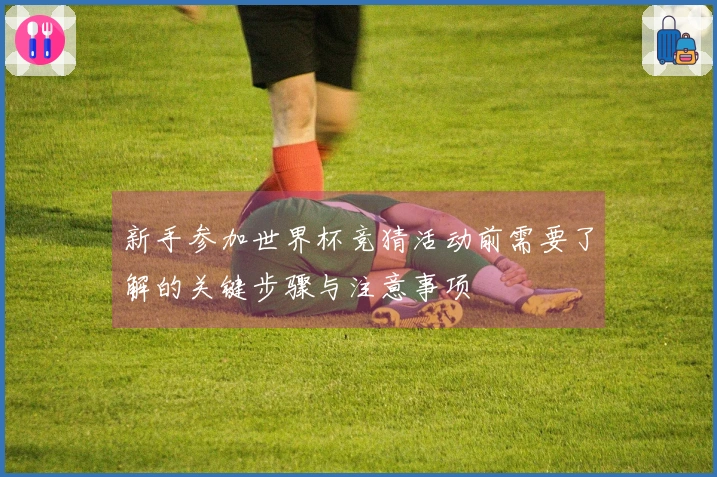 新手参加世界杯竞猜活动前需要了解的关键步骤与注意事项