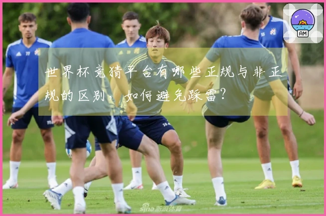 世界杯竞猜平台有哪些正规与非正规的区别，如何避免踩雷？