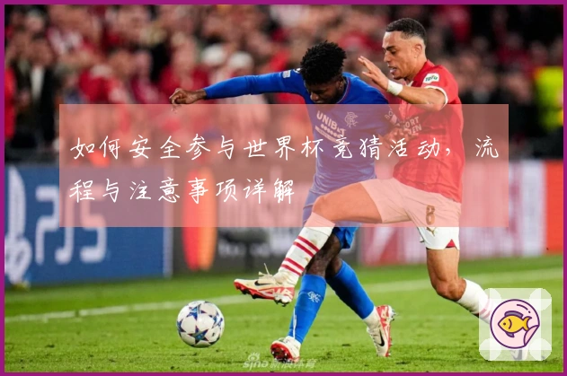 如何安全参与世界杯竞猜活动，流程与注意事项详解