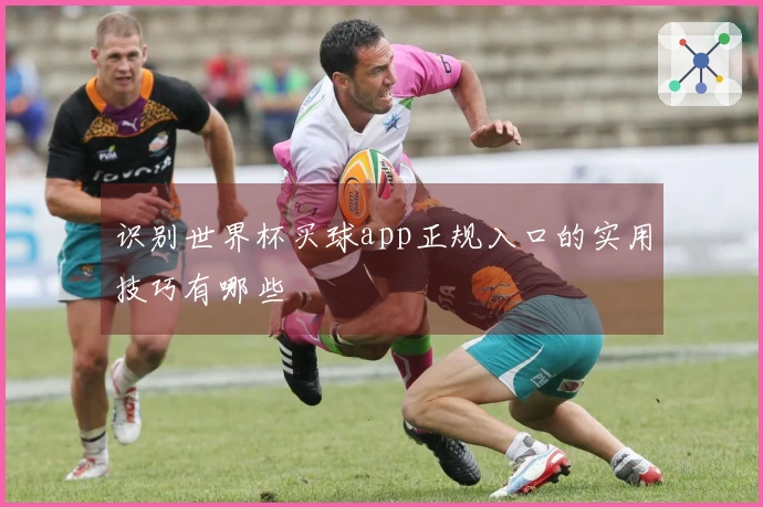 识别世界杯买球app正规入口的实用技巧有哪些
