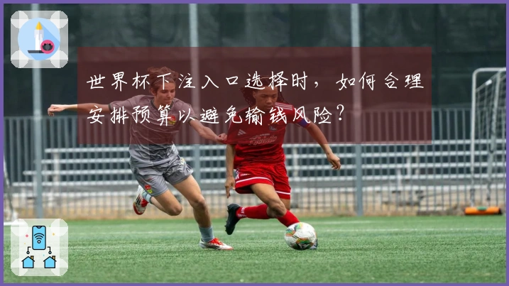 世界杯下注入口选择时，如何合理安排预算以避免输钱风险？