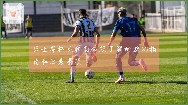 买世界杯竞猜前必须了解的避坑指南和注意事项