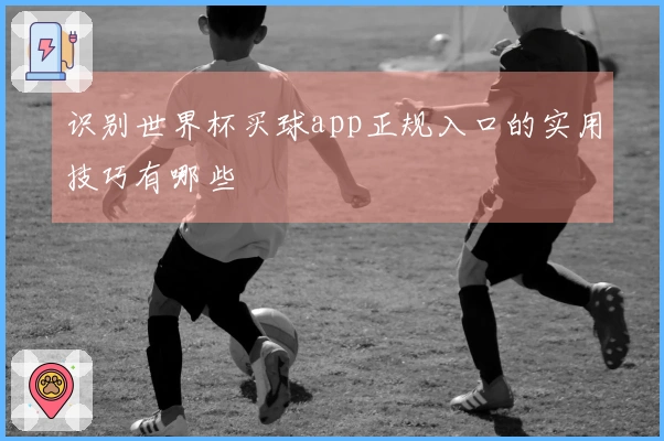 识别世界杯买球app正规入口的实用技巧有哪些