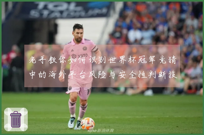 老手教你如何识别世界杯冠军竞猜中的海外平台风险与安全性判断技巧