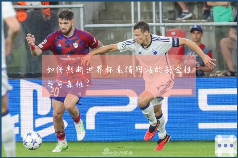 如何判断世界杯竞猜网站的安全性与可靠性？