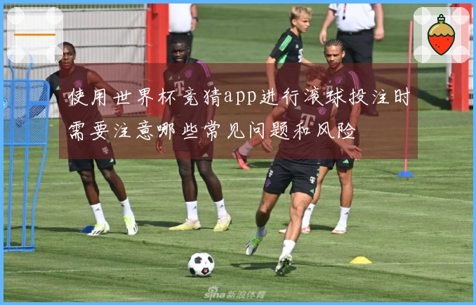 使用世界杯竞猜app进行滚球投注时需要注意哪些常见问题和风险
