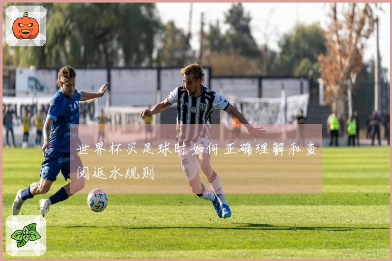 世界杯买足球时如何正确理解和查阅返水规则