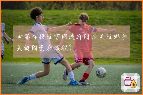 世界杯投注官网选择时应关注哪些关键因素和流程？