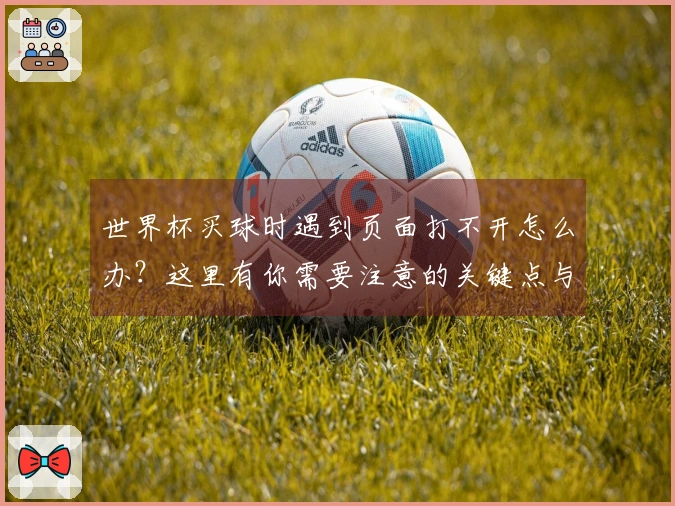 世界杯买球时遇到页面打不开怎么办？这里有你需要注意的关键点与解决方案