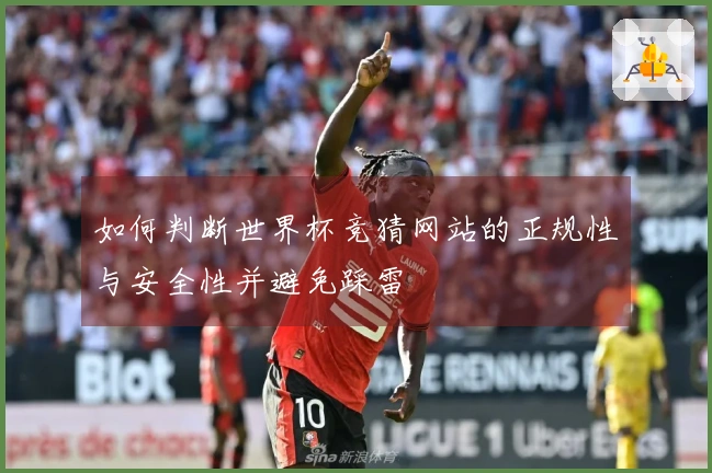 如何判断世界杯竞猜网站的正规性与安全性并避免踩雷