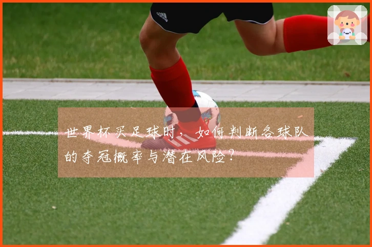 世界杯买足球时，如何判断各球队的夺冠概率与潜在风险？