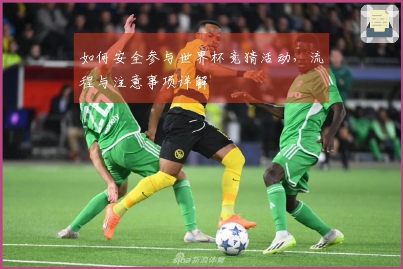 如何安全参与世界杯竞猜活动，流程与注意事项详解