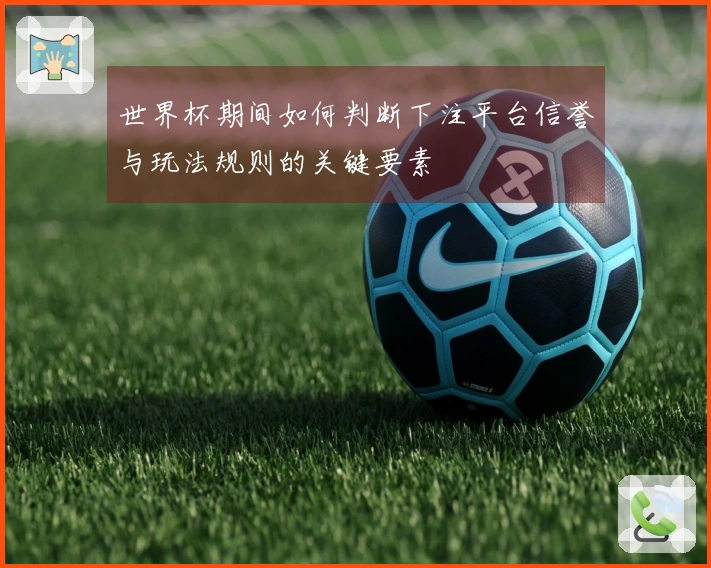 世界杯期间如何判断下注平台信誉与玩法规则的关键要素