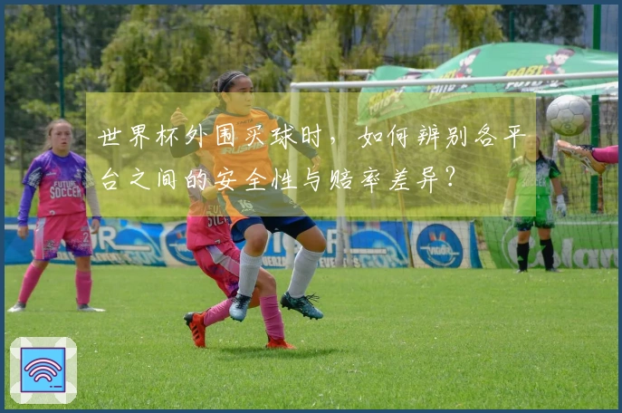 世界杯外围买球时，如何辨别各平台之间的安全性与赔率差异？