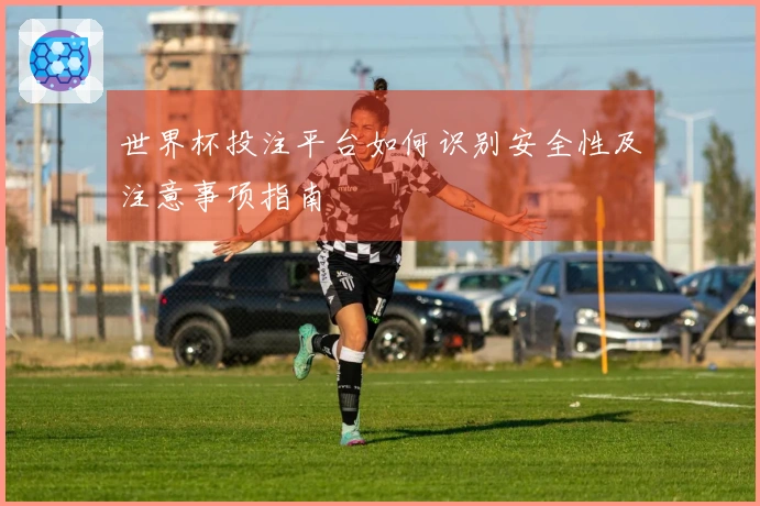 世界杯投注平台如何识别安全性及注意事项指南