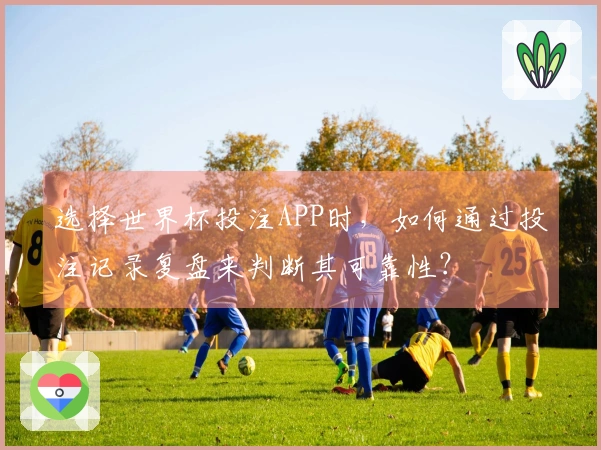 选择世界杯投注APP时，如何通过投注记录复盘来判断其可靠性？