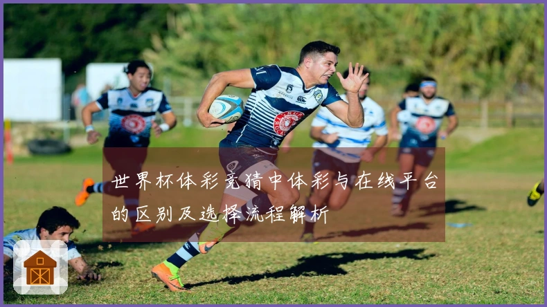 世界杯体彩竞猜中体彩与在线平台的区别及选择流程解析