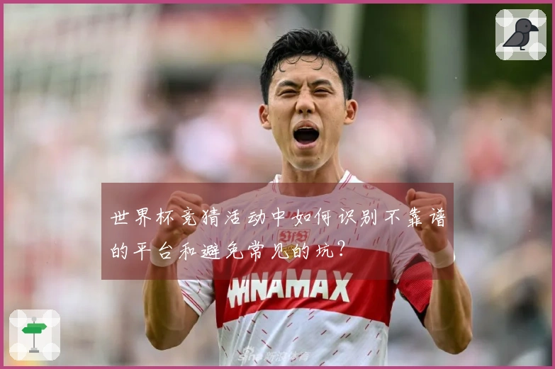 世界杯竞猜活动中如何识别不靠谱的平台和避免常见的坑？