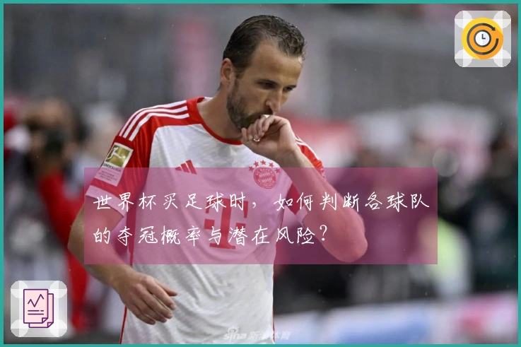 世界杯买足球时，如何判断各球队的夺冠概率与潜在风险？