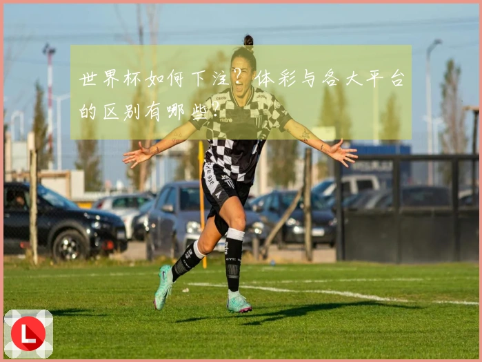 世界杯如何下注？体彩与各大平台的区别有哪些？