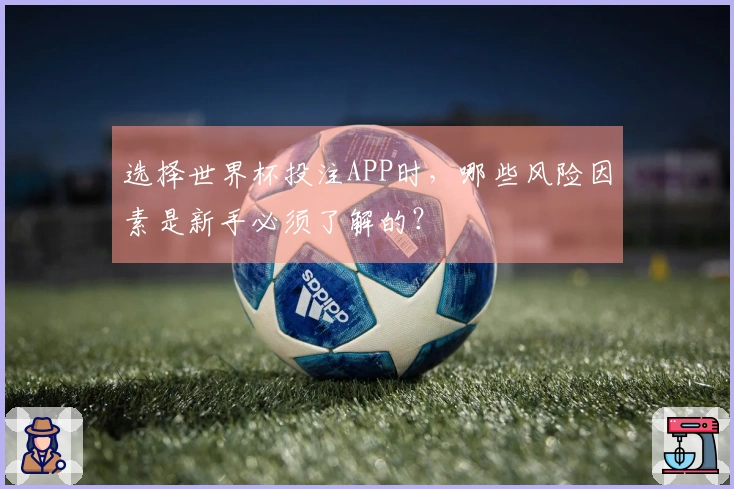 选择世界杯投注APP时，哪些风险因素是新手必须了解的？